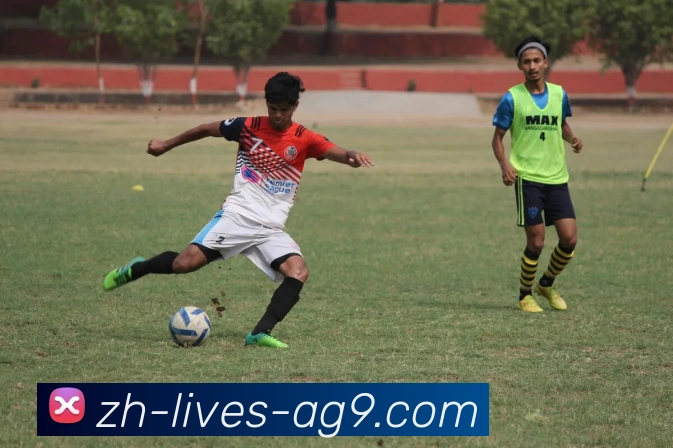 多媒体互动体验